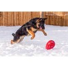 Jolly Pets Jolly Pets Jolly Egg Dog Toy, 8 Inches/Medium,