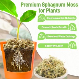 1LB Sphagnum Moss for Plants Indoor, Premium Peat Moss for Reptiles Terrarium-20 Quarter, Natural Long Fiber Orchid Moss for Repotting Propagation Succulent Sarracenia Carnivorous Gardening