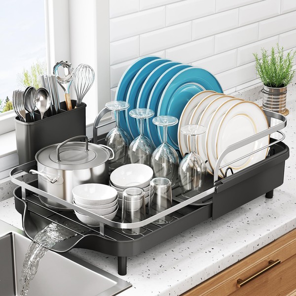 Dish Drying Rack, Expandable Dish Rack for Kitchen Counter, Stainless