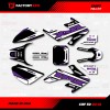 Factory EFX Black & Purple Shift Racing Graphics kit Fits