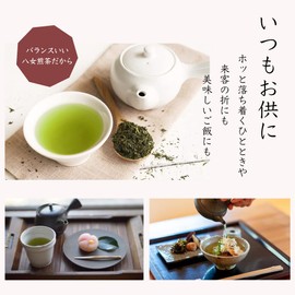 New Tea 2024 YaME-CHA YaME-Cha Yaeicha Picked Sencha 2.5 oz (70 g) Nahiro Chaso