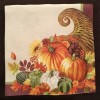 TWO Thanksgiving Autumn Fall Paper Napkins For Decoupage Cornucopia Pumpkins