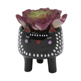 Flora Bunda Artificial Plants in Cute Animal Novelty Planter Artificial Succulent in 4.75" Small Black White Cat Ceramic Planter, 4.75 x 4.75 x 6 inches