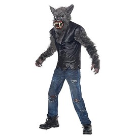 Kid's Full Moon Fury Costume Large