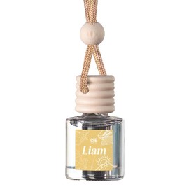 Bookish Scented Car Freshener - Long Lasting - Air Car Diffuser:_Liam