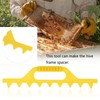 HCJspring Equipment Frame Hive Spacer for Spacing Bee Frames, 8