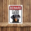 Shawprint BEWARE I LIVE HERE METAL GATE SIGN DOBERMAN PINSCHER