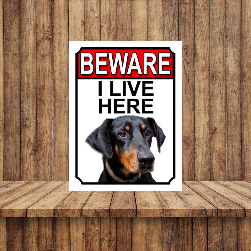 Shawprint BEWARE I LIVE HERE METAL GATE SIGN DOBERMAN PINSCHER