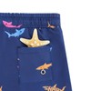 Boys Swim Trunks Toddler Swim Shorts Little Boy Bathing Suit