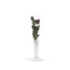 WGV Trumpet Glass Vase, Open 4", Height 20", (Multiple Sizes
