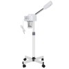 Segawe Professional Spa Beauty Equipment Facial Steamer Skin Care Ozone