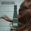 Nexxus Diametress Volume Conditioner for Fine and Flat Hair 13.5