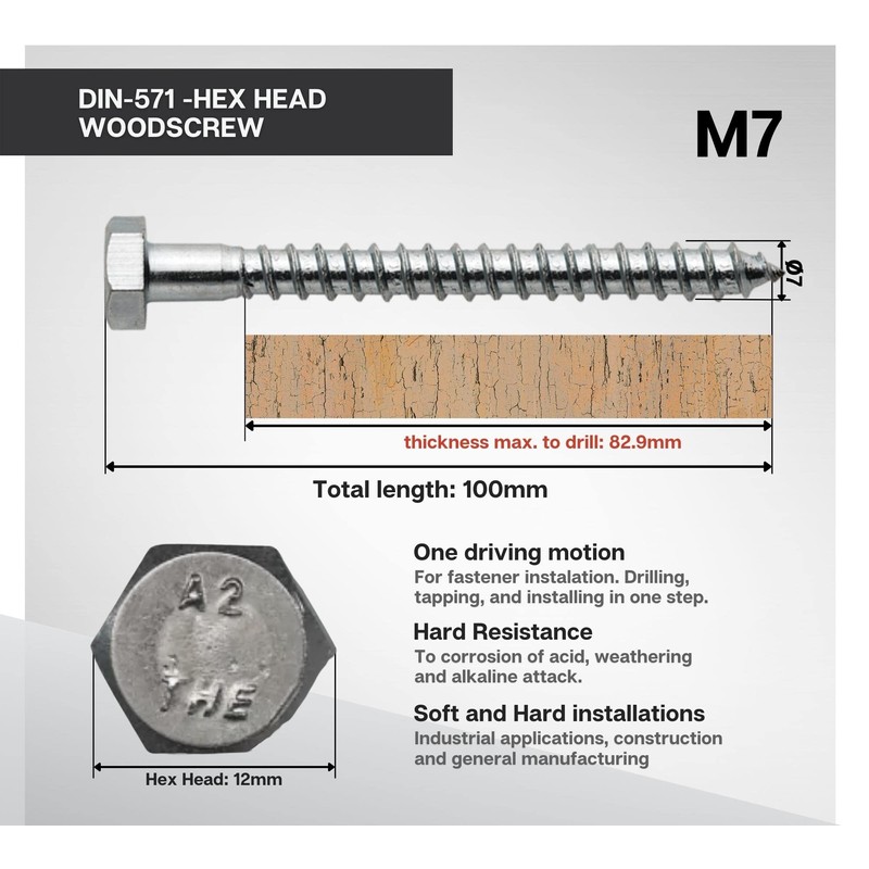 DOJA Barcelona Hexagon Wood Screws | Screws Assortment Pack 25-7