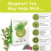 Samcci - Mugwort Tea Bag, 50 Teabags - 100% Natural