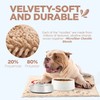 Soggy Doggy Slopmat - Beige/Red Bone - 18” x 24″