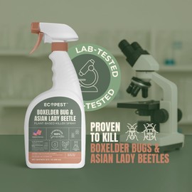 Boxelder Bug & Asian Lady Beetle Spray – Natural, Plant-Based Indoor & Outdoor Killer | Non-Staining, Safe for Doors, Windows, Siding & Baseboards | Child & Pet Safe, Low Odor, Eco-Friendly | 22 oz