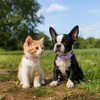 16 Pcs Puppy Leather Collars for Litter, 16 Color ID
