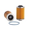 Ryco Oil Filter (R2605P)