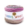Lion Brand Yarn Company 217-602 Ferris Wheel Yarn, Wild Violets,