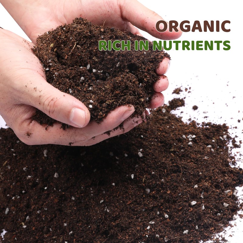 Doter Premium Lucky bamboo Soil Mix 2qt, Indoor Plants Potting