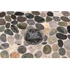 3.25" Round Shower Drain - Starfish - Made of Stainless