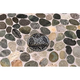 3.25" Round Shower Drain - Starfish - Made of Stainless Steel