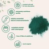 Micro Ingredients Organic Chlorella Powder, 20 Ounces | Broken Cell