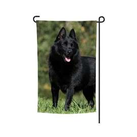 Schipperke Garden Flag, Garden Flag, Schipperke, Schipperke, Schipperke Lover Gift, Dog Flag