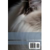  RAGDOLL: A Complete Guide to Your Cat