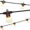 Enbrighten LED Bistro Outdoor String Lights, 48ft, 24 Shatter Resistant