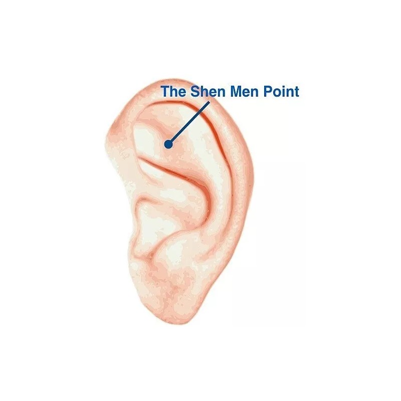 USA Seller Remote Work Stress Relief Ear Magnets 1 New