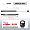 C1620651 18.5" 40 Lb Gas Strut Shock Spring Lift Support
