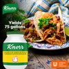 Knorr Professional Caldo de Pollo, Bouillon with Chicken Flavor Granulated