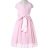 Bow Dream Flower Girl Dress Junior Bridesmaids V-Neckline Chiffon Blush