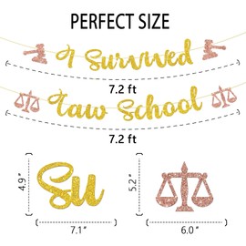 I Survived Law School Banner Gard Decorations 2025, Congrats Lawyer Gold Glittery Class of 2025 Born to Argue Graduation Party Supplies Gold Glitter