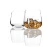 Schott Zwiesel Set of 2 Short Tumblers