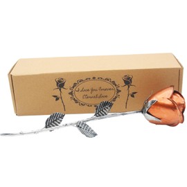 Rifyta Coolest Gifts for Girlfriend Wife Gifts Ideas for Anniversary Valentines Mothers Iron 6th 11th Anniversary Steel Gifts Iron for Him/Her Metal Flowers Handcrafted Rose Birthday Gifts for Women