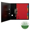 Esselte 10 Packs A4 Card File Dividers. 10 Parts Coloured