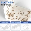 【𝐇𝐢𝐠𝐡𝐥𝐲 𝐄𝐟𝐟𝐞𝐜𝐭𝐢𝐯𝐞】 Clothes Moth Traps with Extra Strength Pheromone Attractant