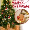 4 Inch Clear Acrylic Ornaments for Crafts- 30 Pieces Blank