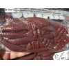 Berkley Havoc Soft Plastic Baits 2 Packs Havoc 3.5" Devil