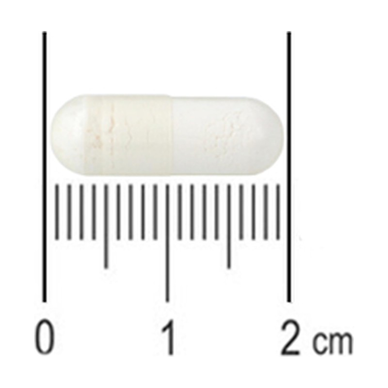 GABA 500 mg 60 Capsule