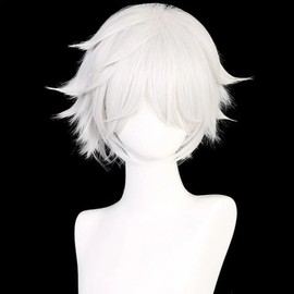 Wig short cut silver hair (WFLNWTE) / 가발 숏컷트 은발 (WFLNWTE)