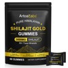 Shilajit Gummy Bears 3000 mg, Pure Himalayan Shilajit Gold Gummy