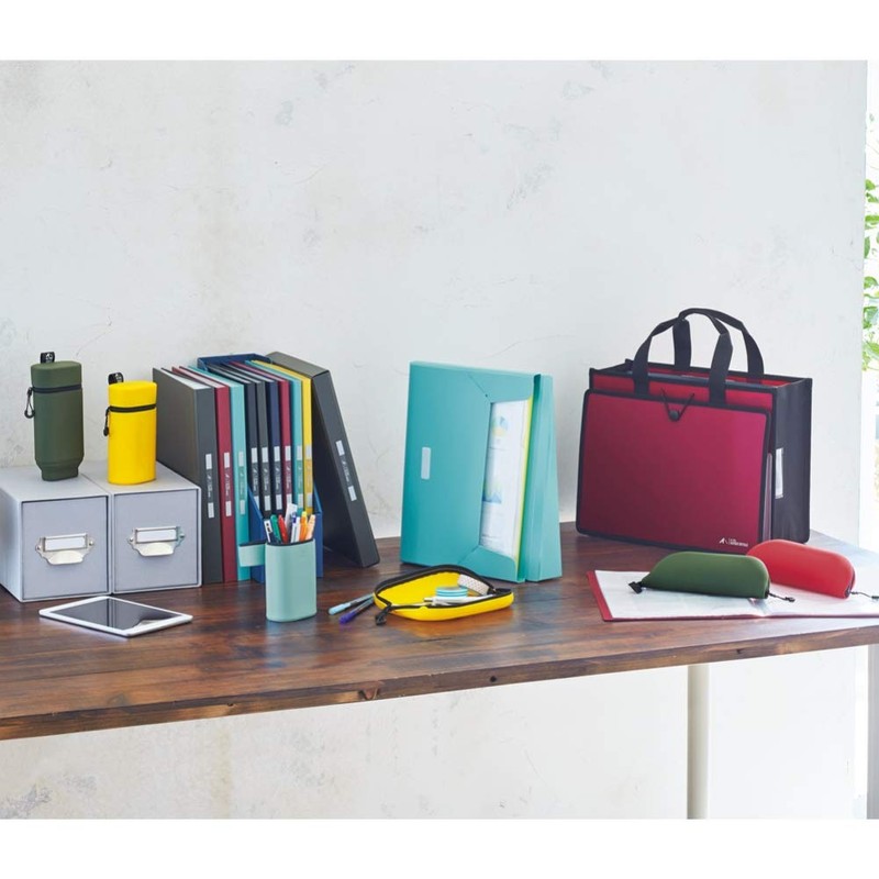 Lihit Lab N7752-24 File Clear Book A4 40 Pockets ALTNA