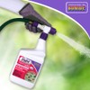 Bonide Eight Insect Control Yard & Garden, 32 oz Ready-to-Spray