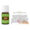 Young Living Aceite Esencial De Kunzea Young Living