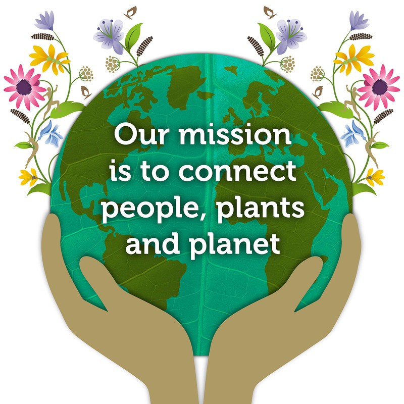 Pukka Wild Apple and Cinnamon Organic Herbal Fruit Tea, 20