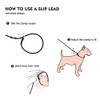 BeauGo Slip Leads for Dogs,Thin Slip Lead,Dog Training Leash,Thin Slip