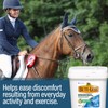 Absorbine Bute-Less Comfort & Recovery Supplement Pellets, Healthy Inflammatory Response,